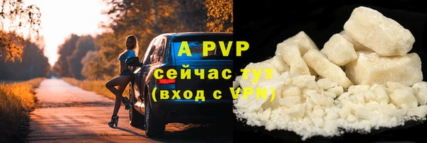 гашик Арсеньев
