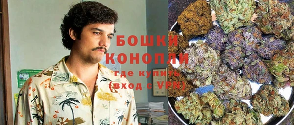 гашик Арсеньев